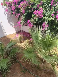 S2 à Raoued Plage à Quelques pas de la mer à Raoued