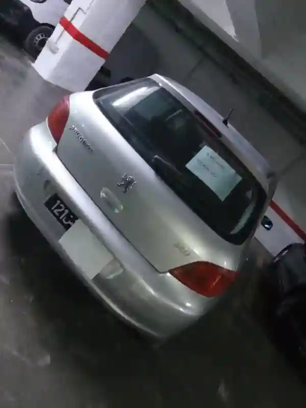Peugeot 307 Essence 2006 - Vue 1