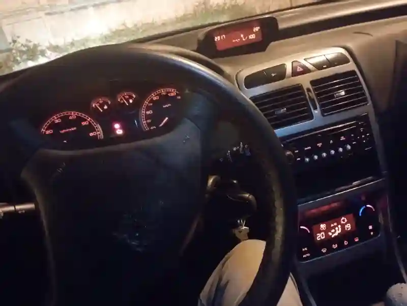 Peugeot 307 Essence 2006 - Vue 2
