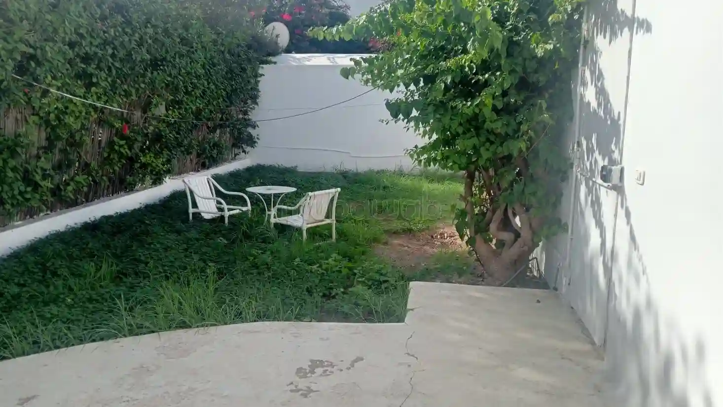 S1 Avec Jardin à la Marsa - Vue 1