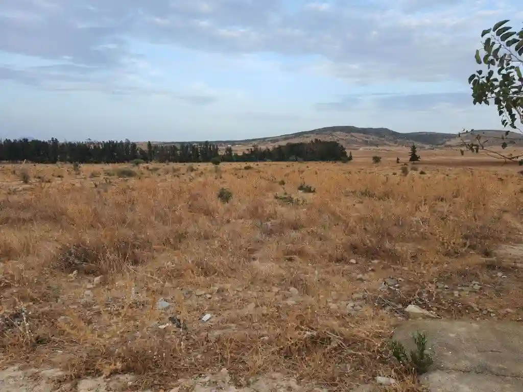 À Vendre Terrain Agricole de 2 Hectares Avec Façade de 100 m su - Vue 1