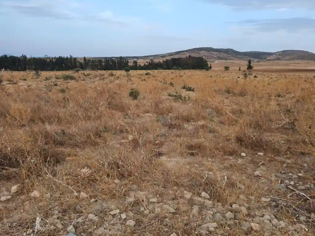 À Vendre Terrain Agricole de 2 Hectares Avec Façade de 100 m su - Vue 2