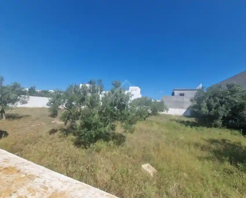 Superbe Terrain de 1000 m² à Mrezga à Vendre 51355351 - Vue 1