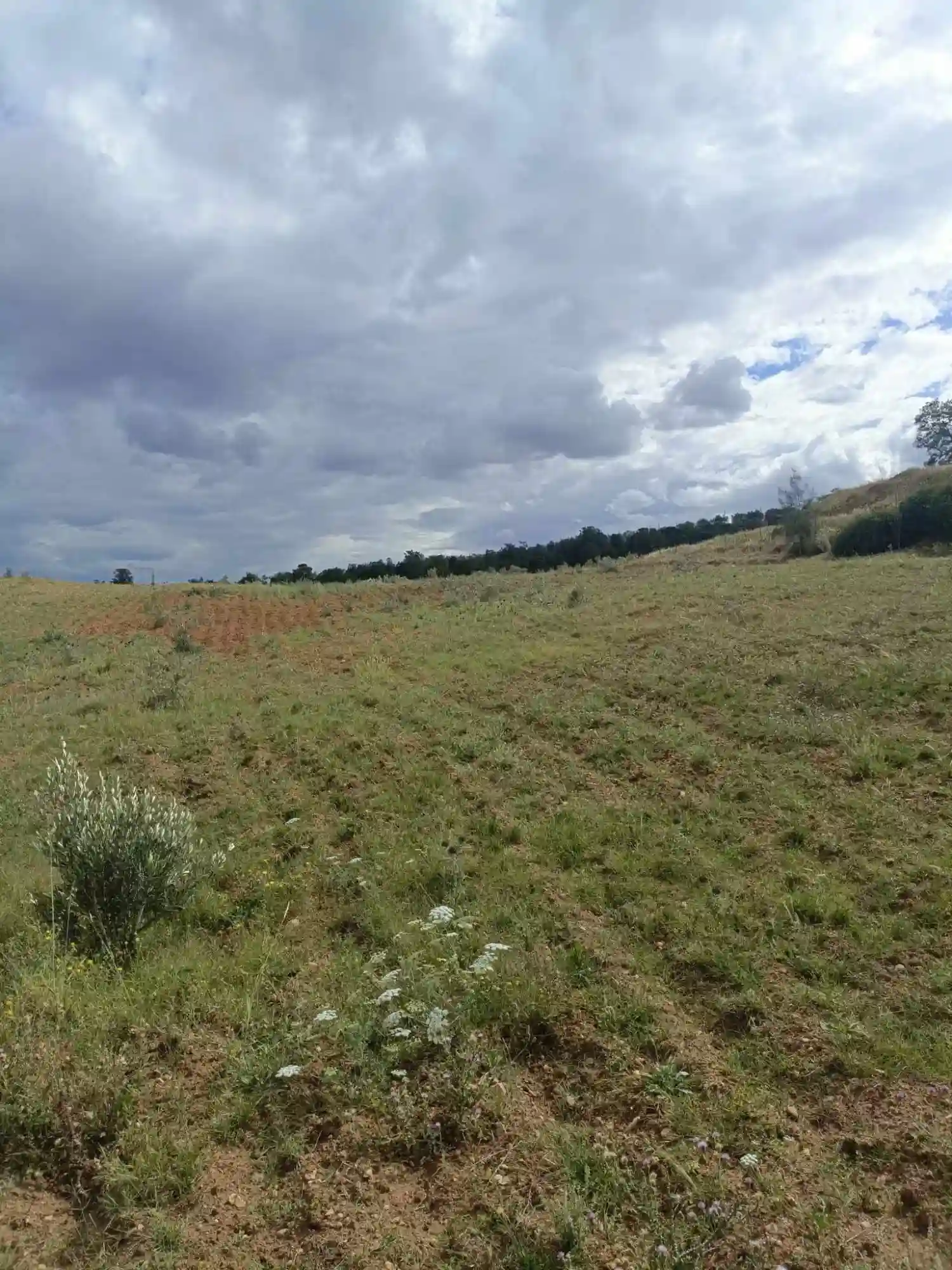 Av 4100m Rote Zriba Zaghouan - Vue 2