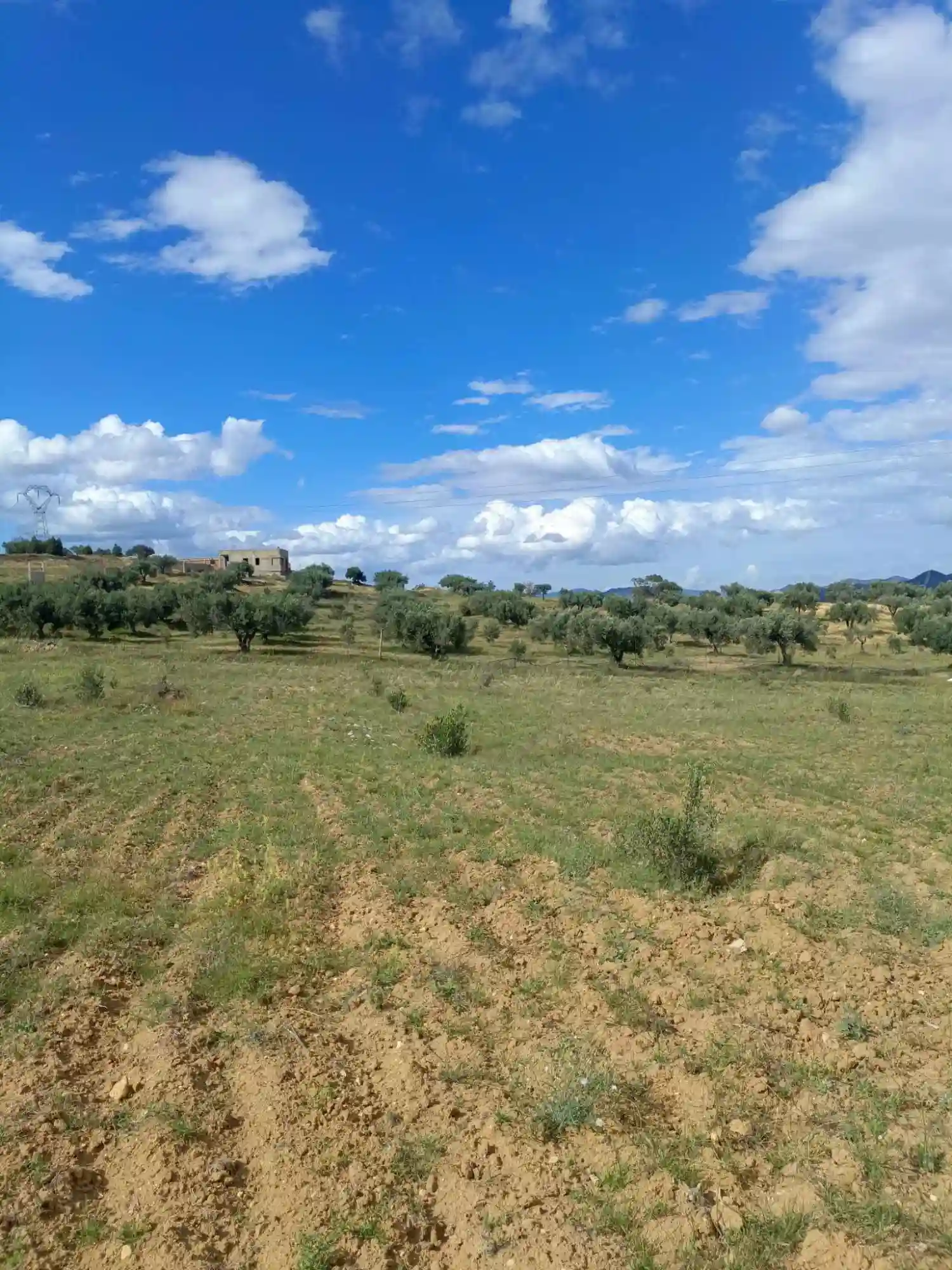 Av Terrain 4100m à Zaghouan - Vue 1