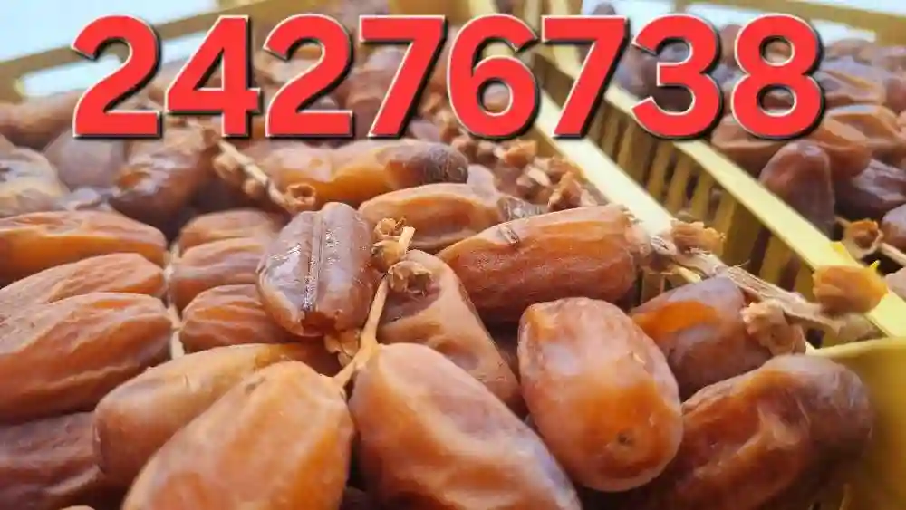 دڤلة عرجون صندوق 5كغ55د شريحة توجان 1كغ 38د - Vue 1