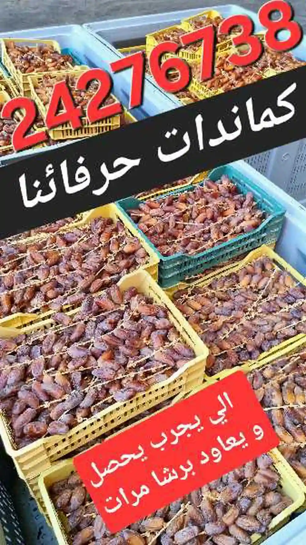 دڤلة عرجون صندوق 5كغ55د شريحة توجان 1كغ 38د - Vue 2