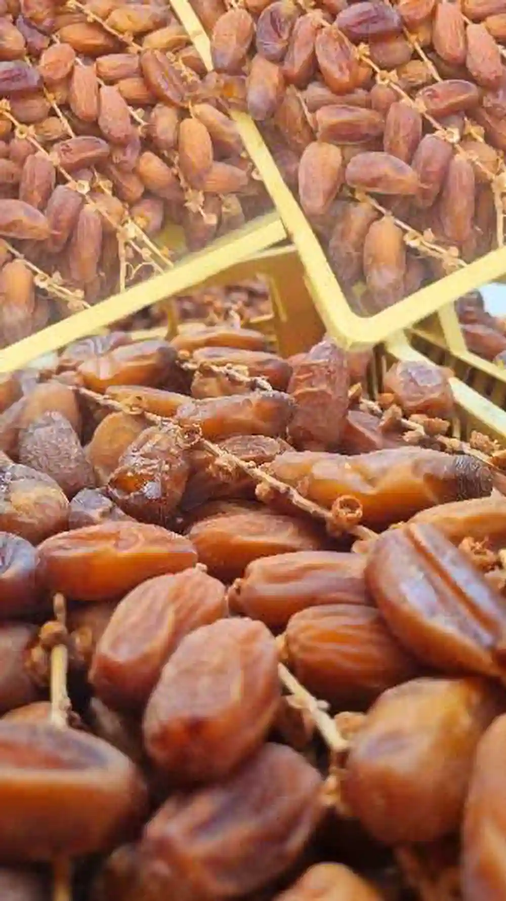 دڤلة عرجون صندوق 5كغ55د شريحة توجان 1كغ 38د - Vue 8