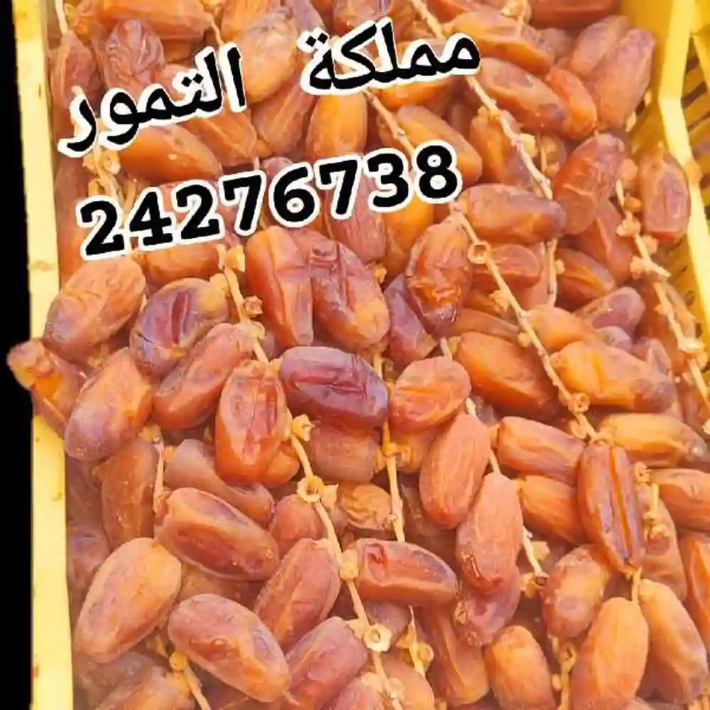 دڤلة عرجون صندوق 5كغ55د شريحة توجان 1كغ 38د - Vue 9