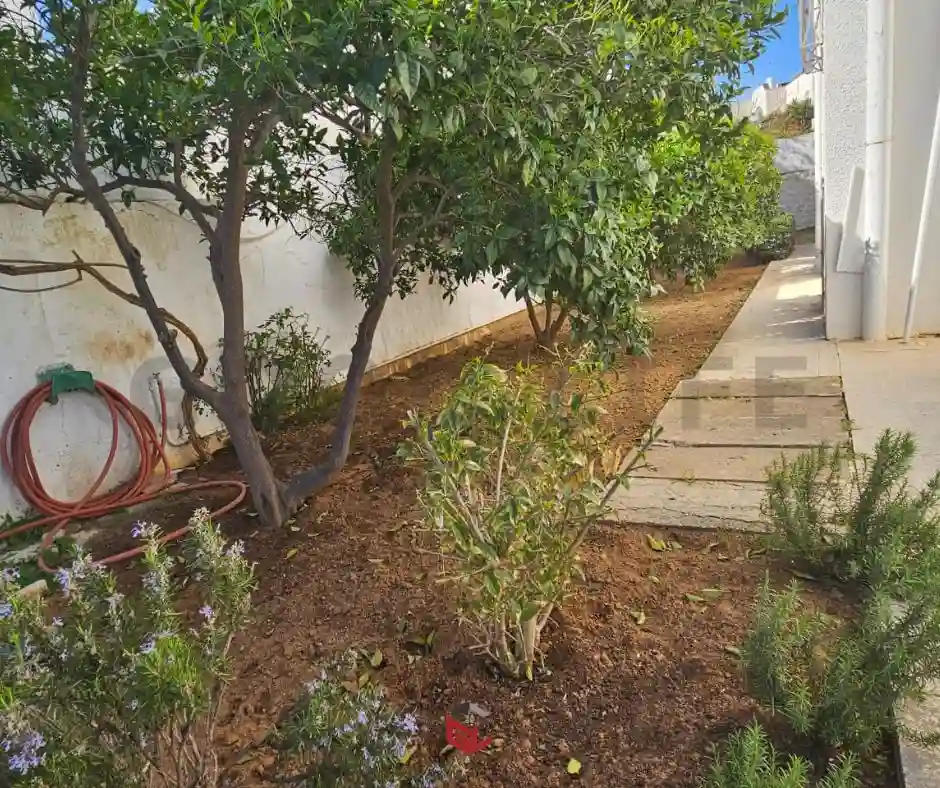 Villa Menzah 9 à El Menzah 9 - Vue 1