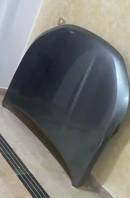 Capot Et Optique Haval Jolion - Vue 1
