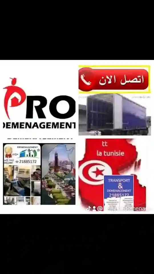 Déménagement 21885172 Transport et