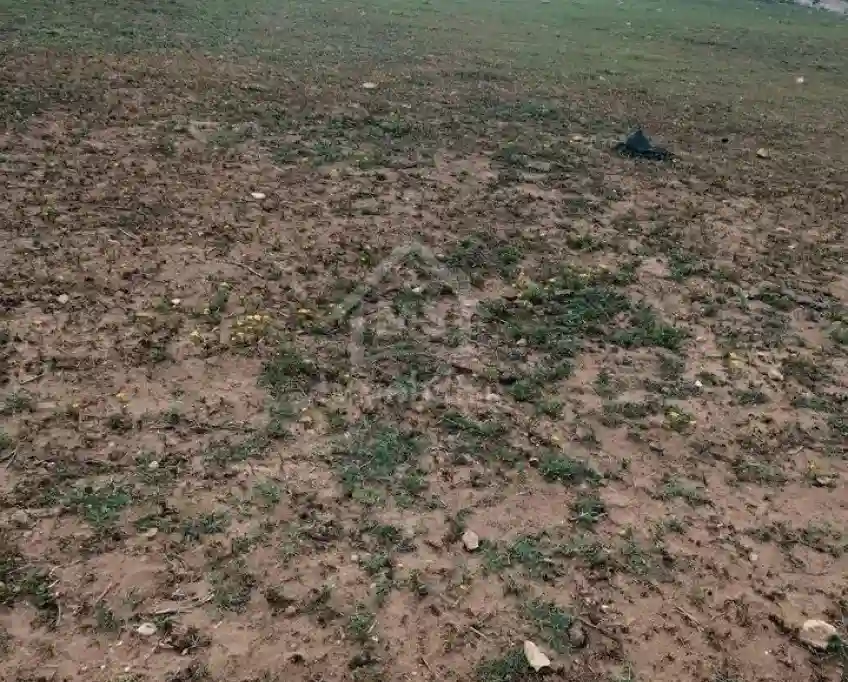 Terrain Pieds Dans L'eau de 9716 m² à Korba à Vendre 51355351 - Vue 3