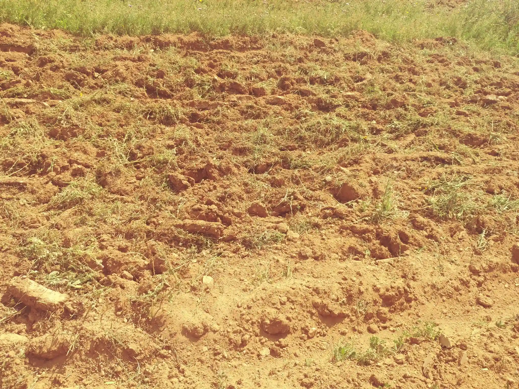 5 Hectares Terrain Agricole nu à Boucha - Vue 2