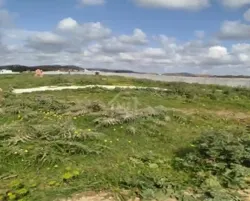 Terrain de 4000 m² à Vendre à 100 md à Hammamet sud 51355351