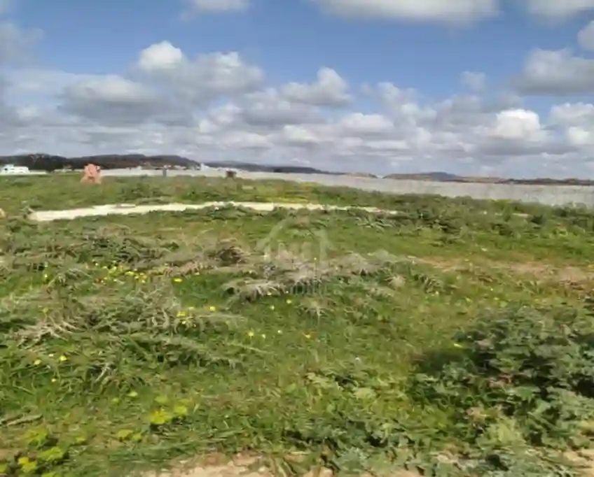 Terrain de 4000 m² à Vendre à 100 md à Hammamet sud 51355351