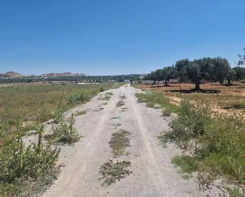 Terrain de 4000 m² à Vendre à 100 md à Hammamet sud 51355351 - Vue 1