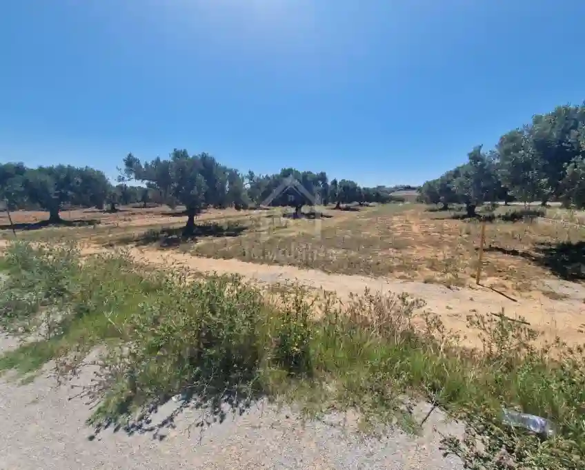Terrain de 4000 m² à Vendre à 100 md à Hammamet sud 51355351 - Vue 2