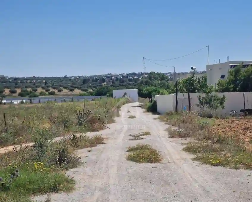 Terrain de 4000 m² à Vendre à 100 md à Hammamet sud 51355351 - Vue 4