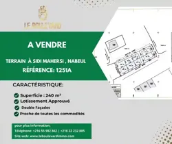 A Vendre Terrain 240m² à Sidi Mahersi Nabeul