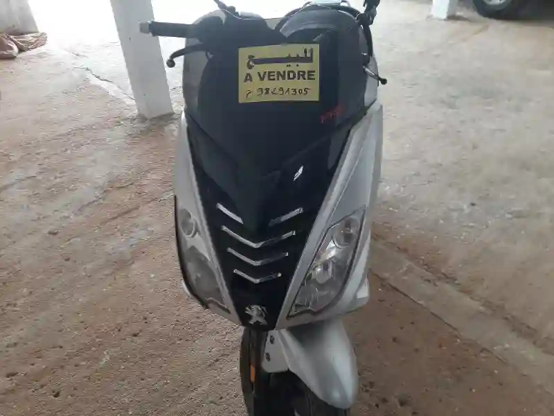 Moto Peugeot - Vue 4