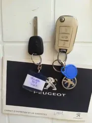 Peugeot 301