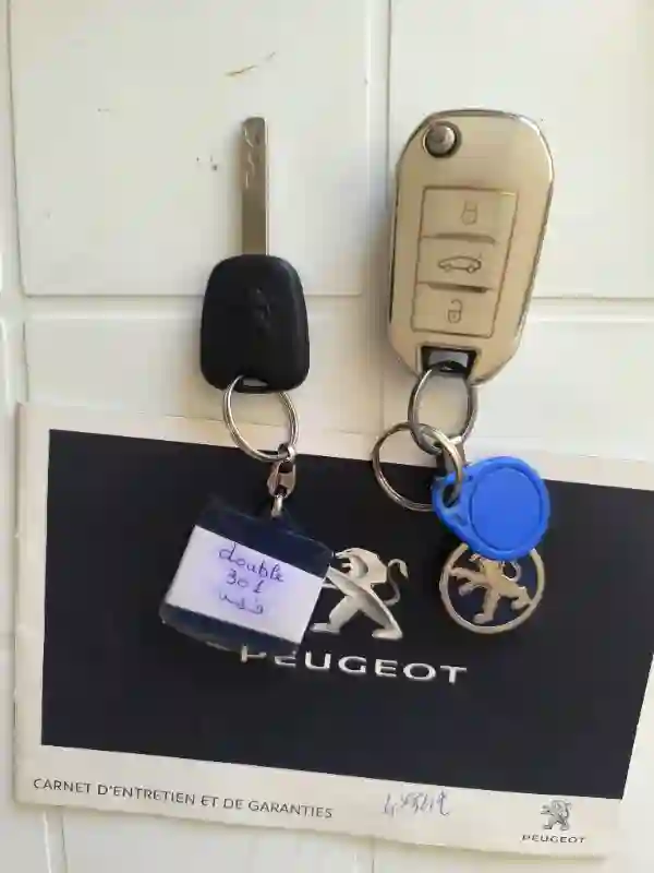 Peugeot 301