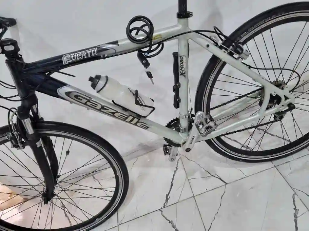 Vélo Gazelle - Vue 1