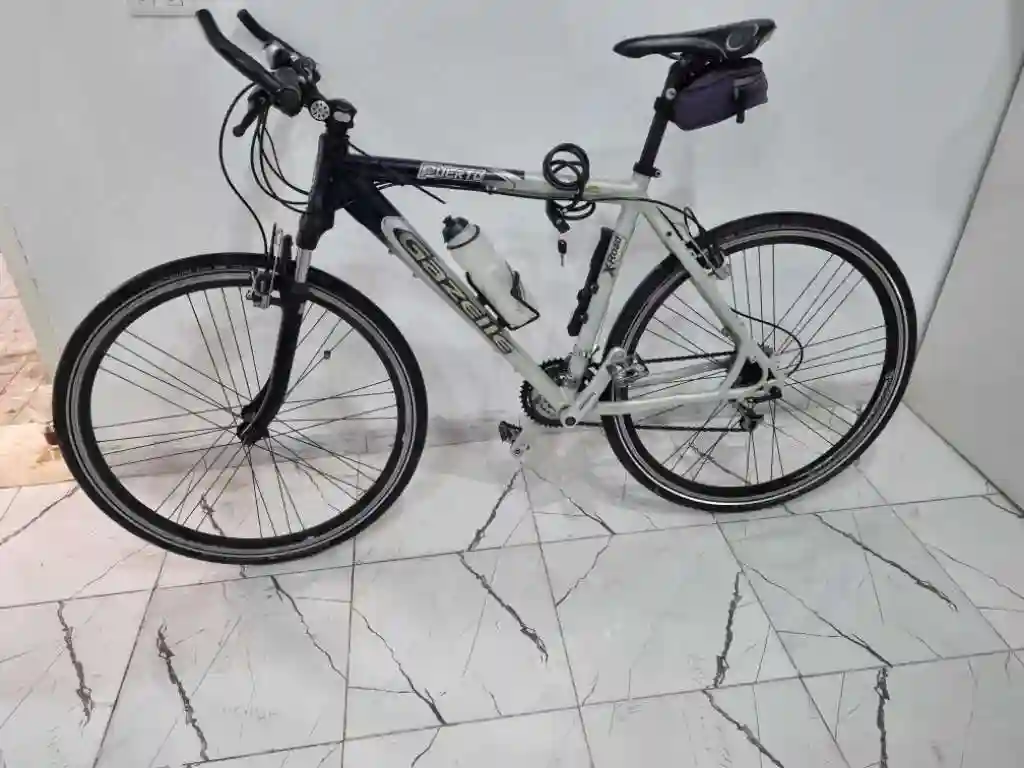 Vélo Gazelle - Vue 5