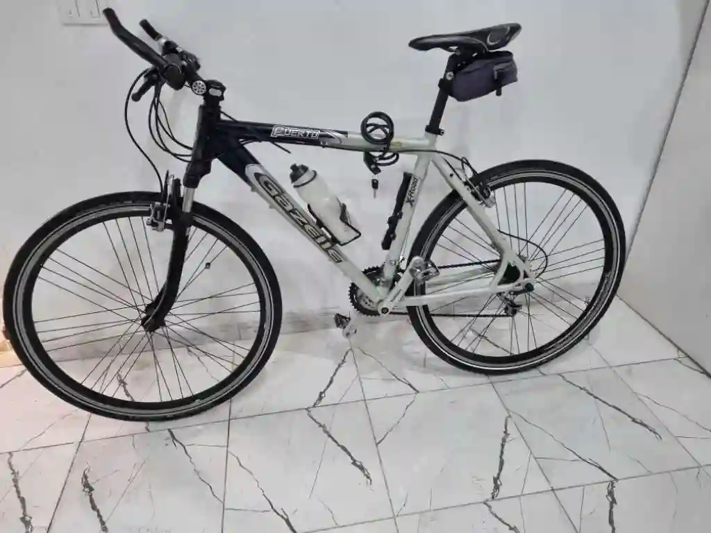 Vélo Gazelle - Vue 7