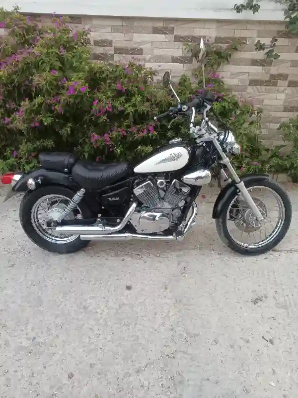 Yamaha Virago 125 - Vue 2