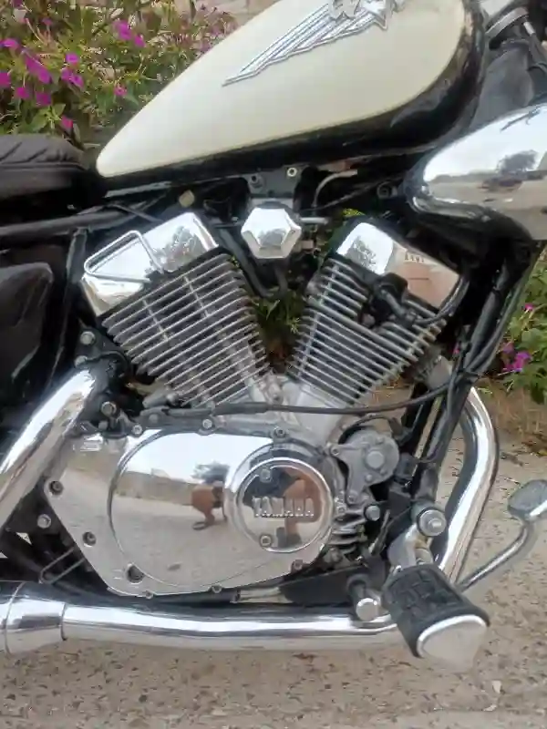 Yamaha Virago 125 - Vue 4