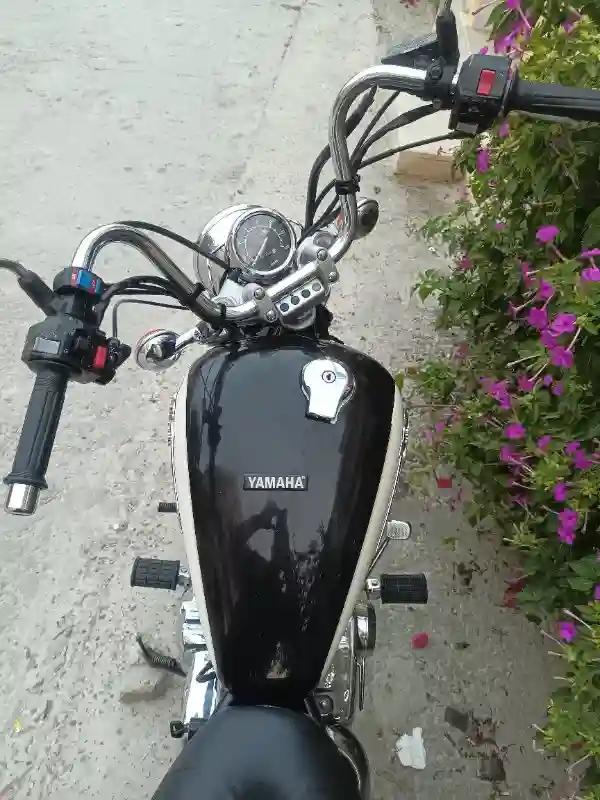 Yamaha Virago 125 - Vue 5