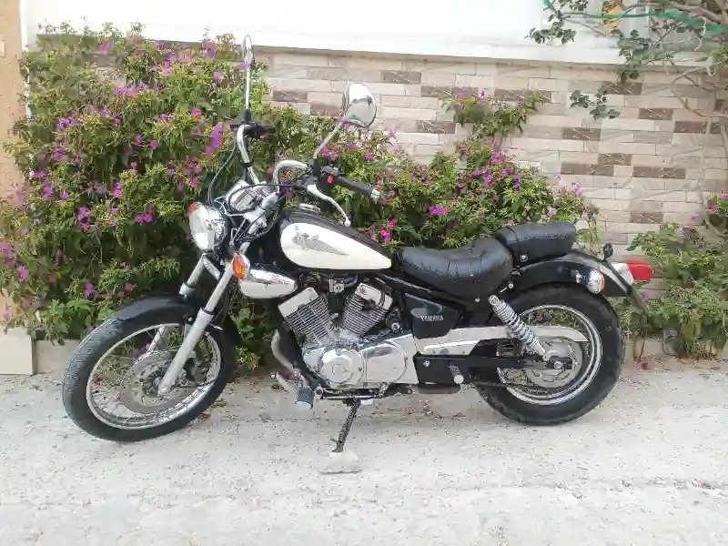 Yamaha Virago 125 - Vue 6