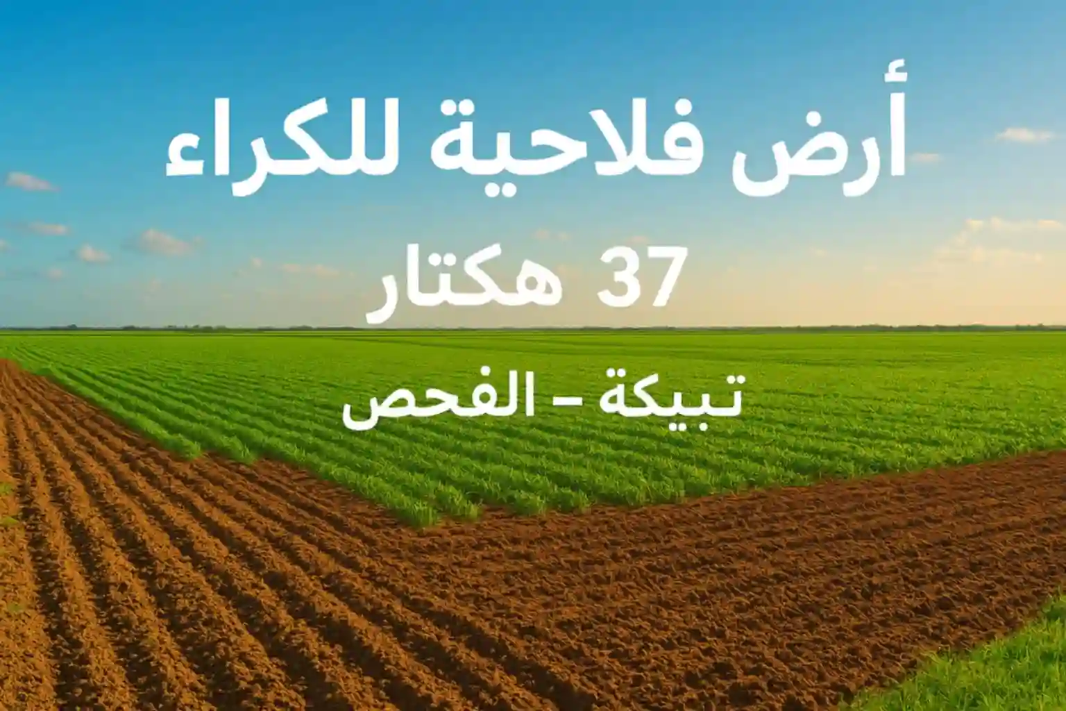 إعلان كراء أرض فلاحية — 37 هكتار