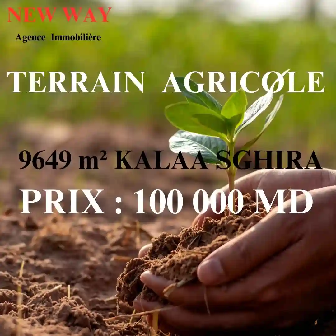 Terrain Agricole 9649 m² à Kalàa Sghira - Vue 4
