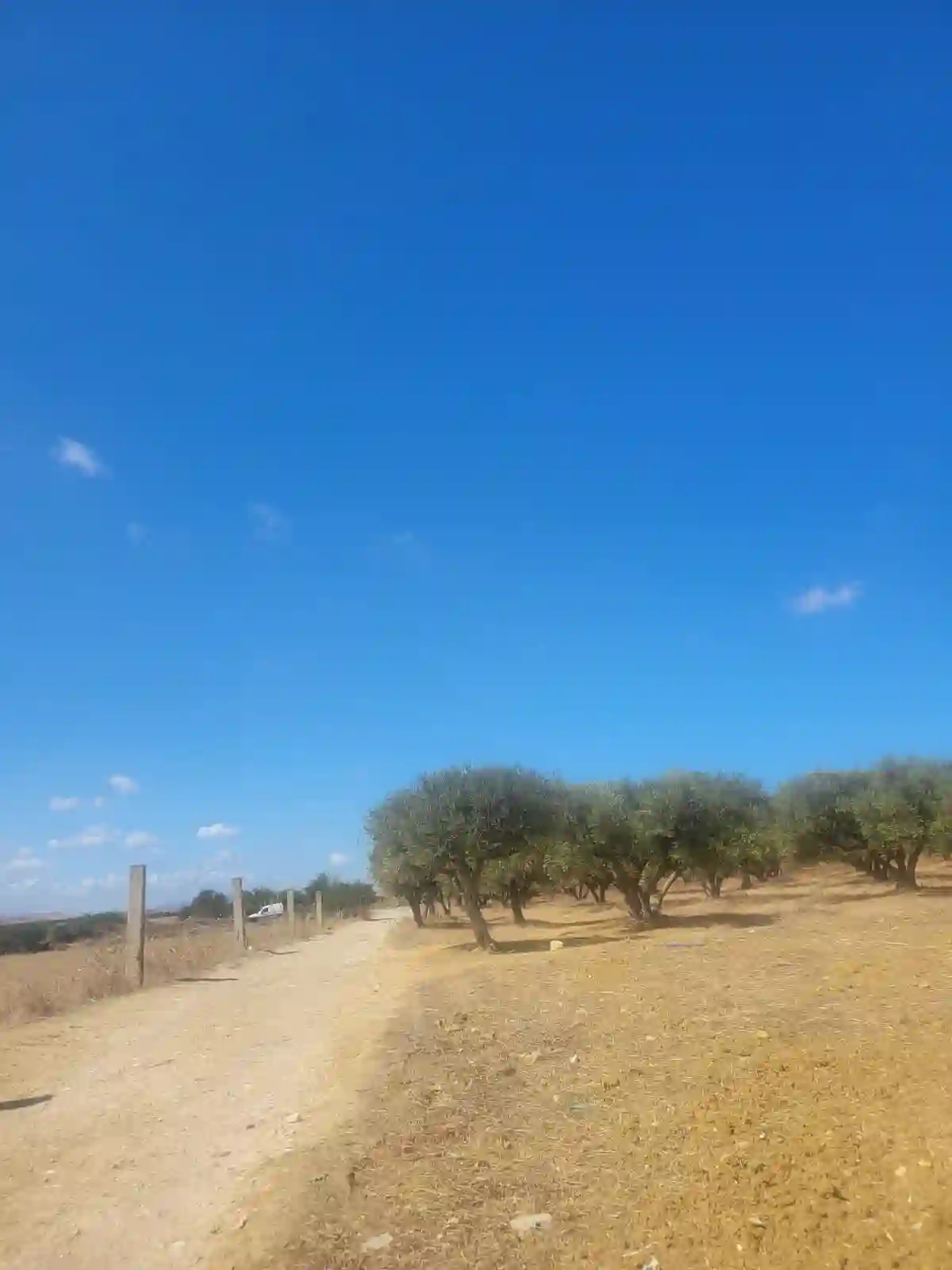 Terrain Bouzaria à Bizerte