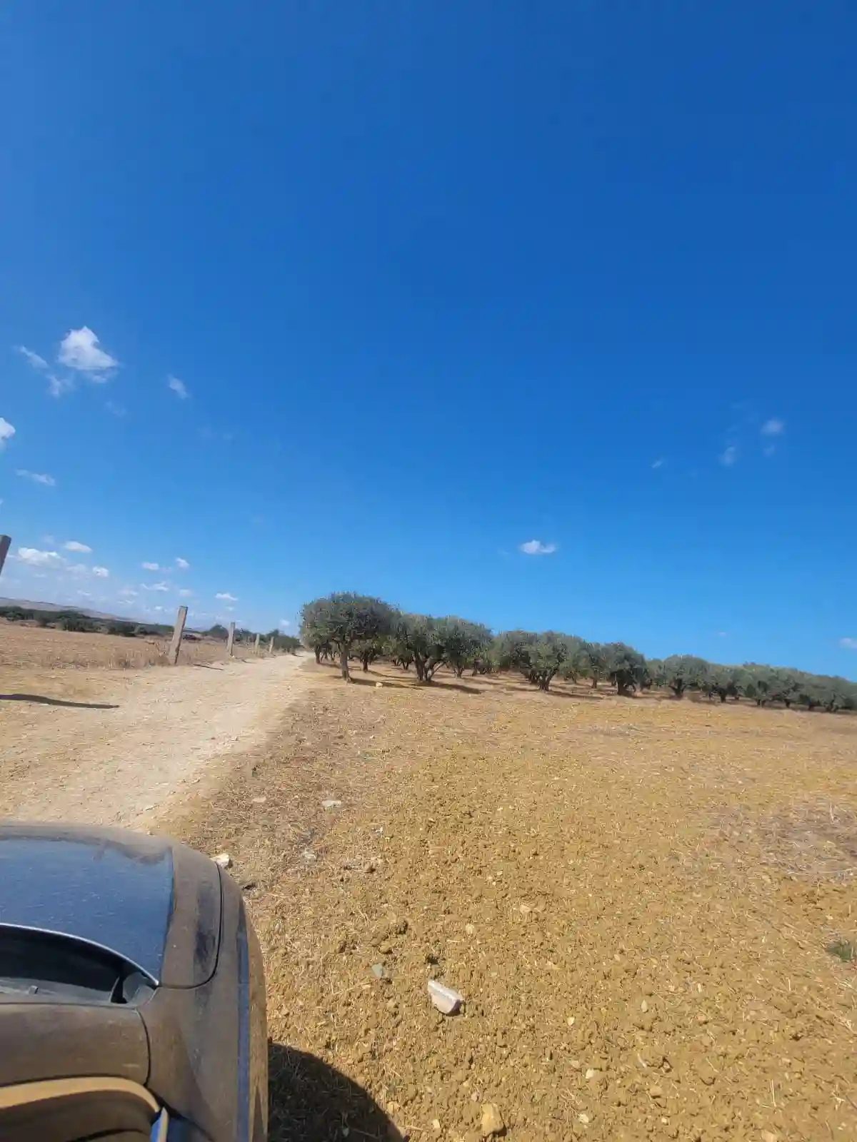 Terrain Bouzaria à Bizerte - Vue 2