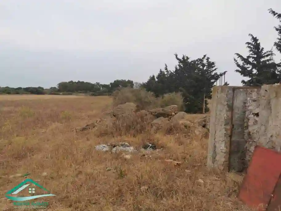 Vt623 Terrain 5000 m2 à Kelibia à Kelibia - Vue 3