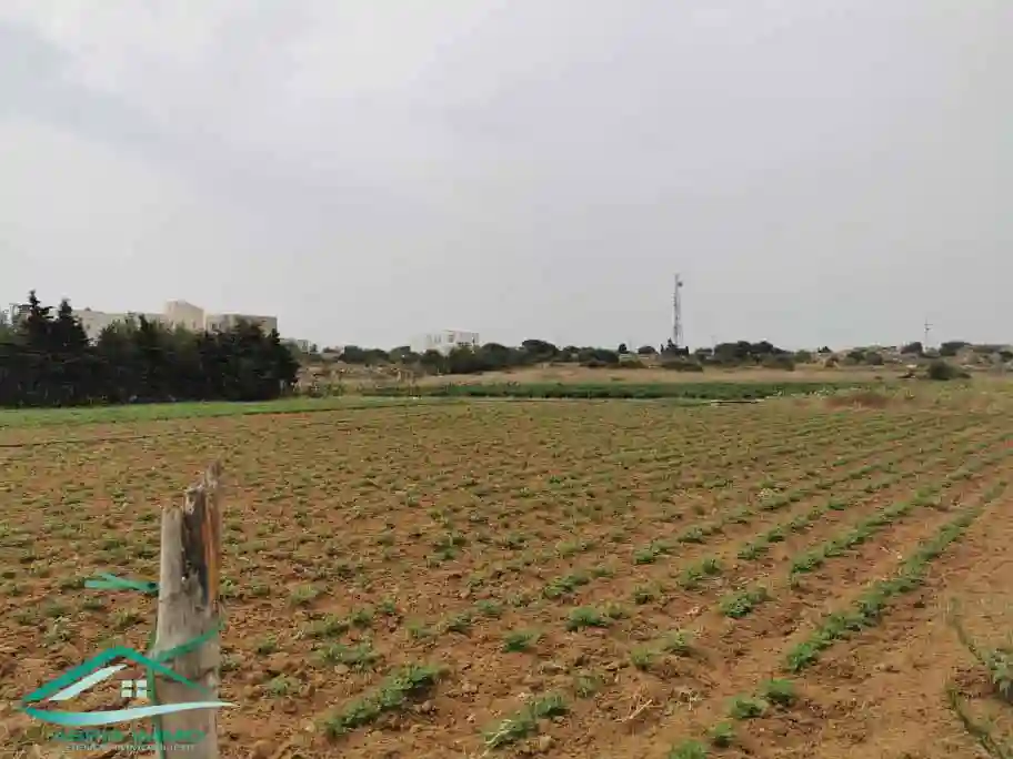 Vt628 Terrain 470 m2 à Kelibia la Blanche à Kelibia - Vue 1