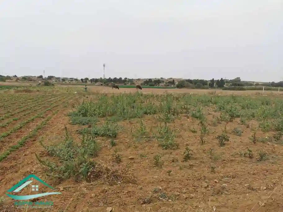 Vt628 Terrain 470 m2 à Kelibia la Blanche à Kelibia - Vue 2