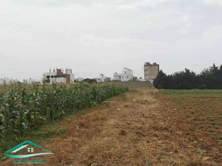 Vt628 Terrain 470 m2 à Kelibia la Blanche à Kelibia - Vue 3