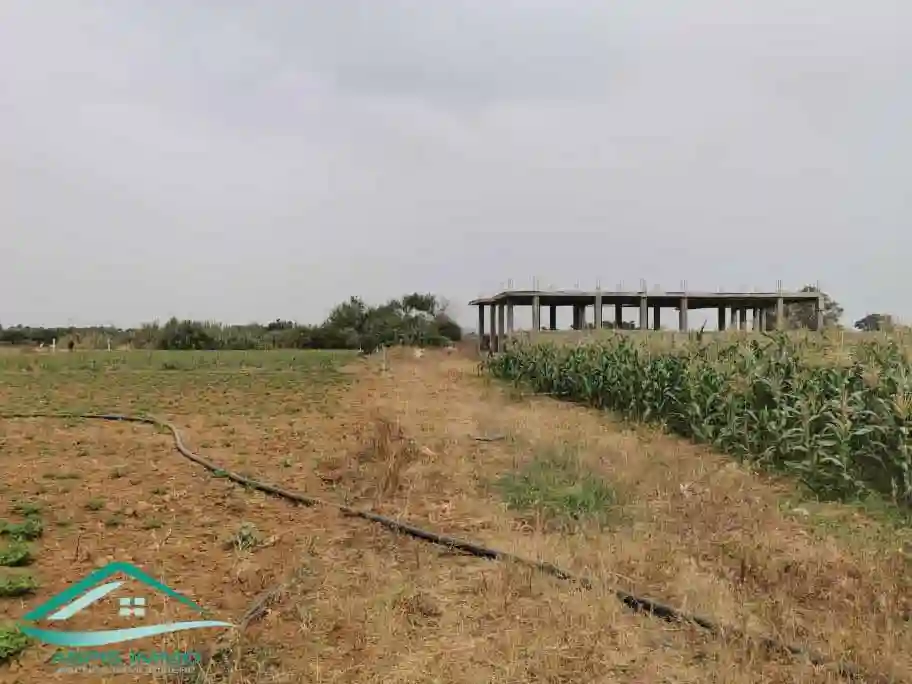 Vt628 Terrain 470 m2 à Kelibia la Blanche à Kelibia - Vue 4