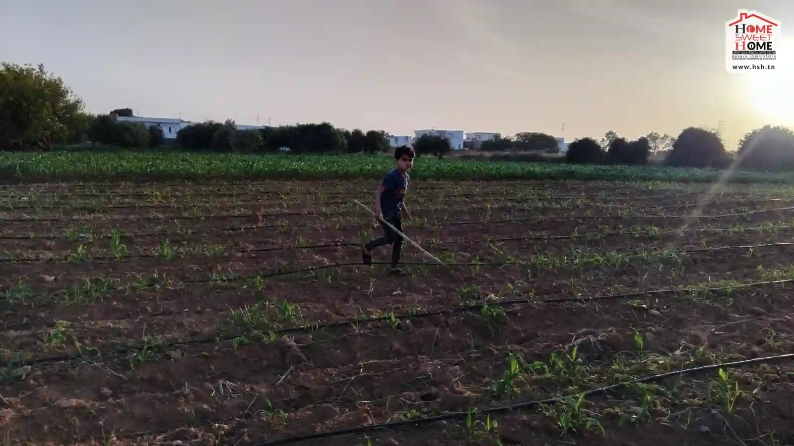 Ferme Vital à Kélibia à Kelibia - Vue 3