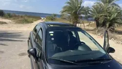 Peugeot 207 Diesel 2010
