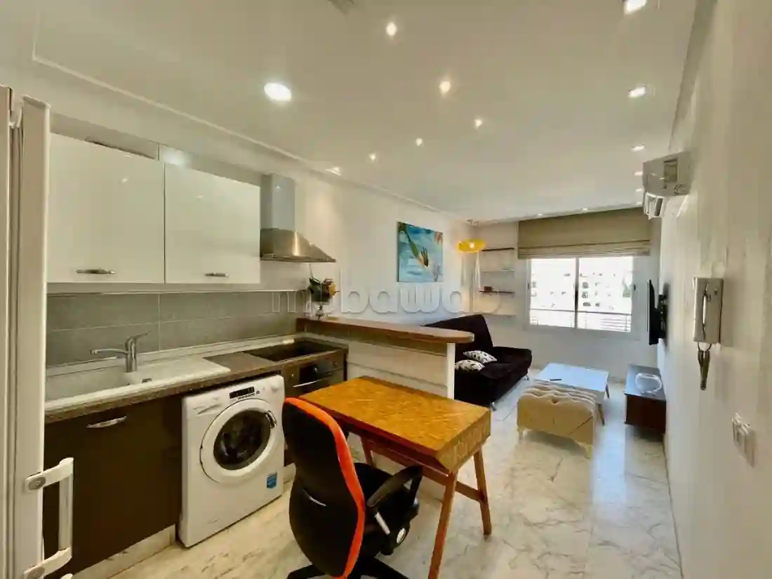 Appartement S1 Meublé en Location Lac 2 - Vue 3