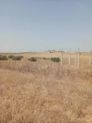 للبيع 7 هكتارات بيضاء زغوان طريق الحمامات