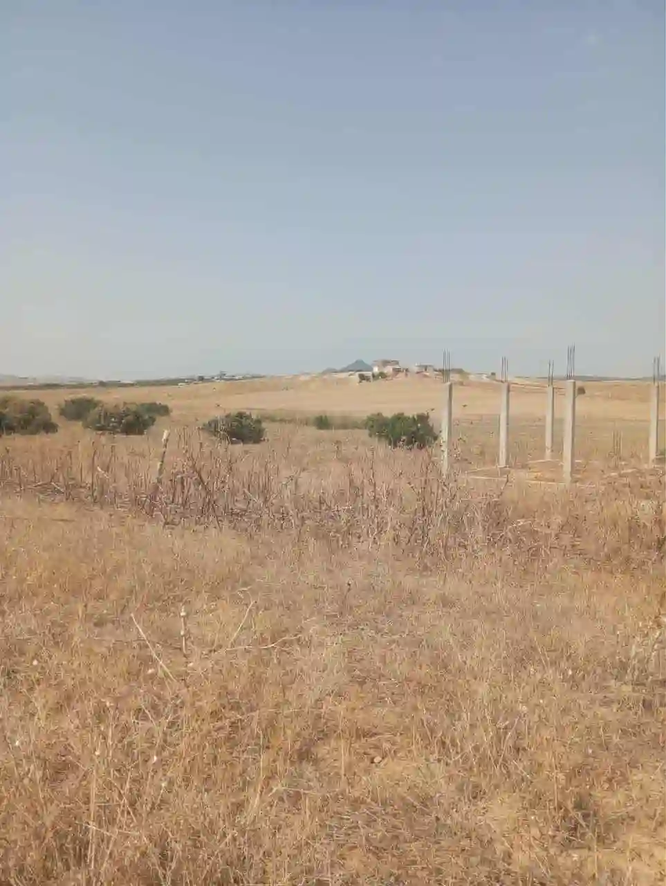 للبيع 7 هكتارات بيضاء زغوان طريق الحمامات