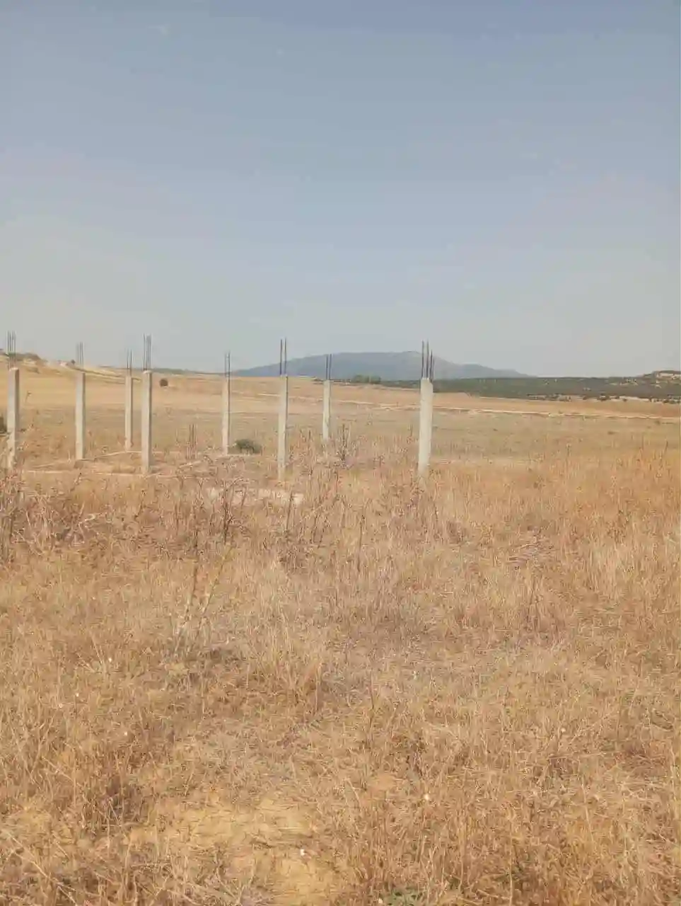 للبيع 7 هكتارات بيضاء زغوان طريق الحمامات - Vue 2