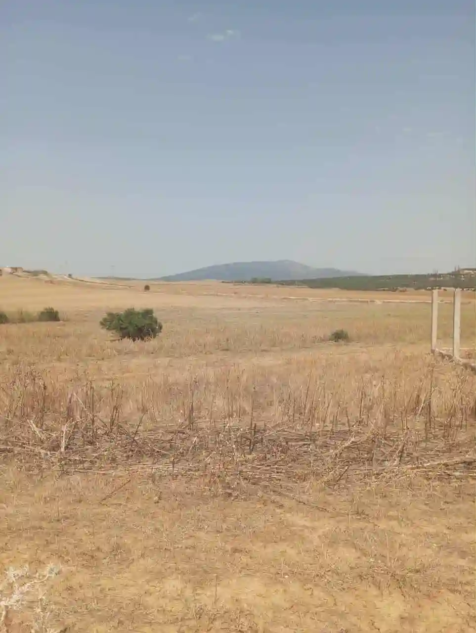 للبيع 7 هكتارات بيضاء زغوان طريق الحمامات - Vue 4